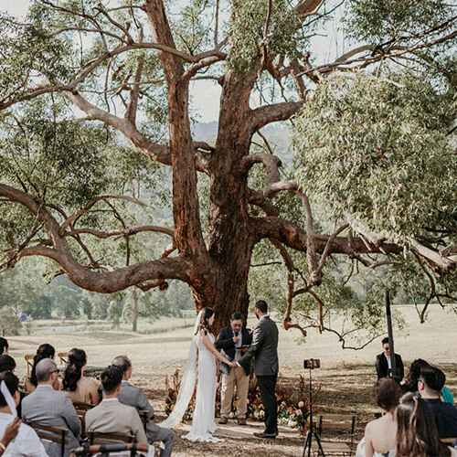 gold coast hinterland wedding under the trees
