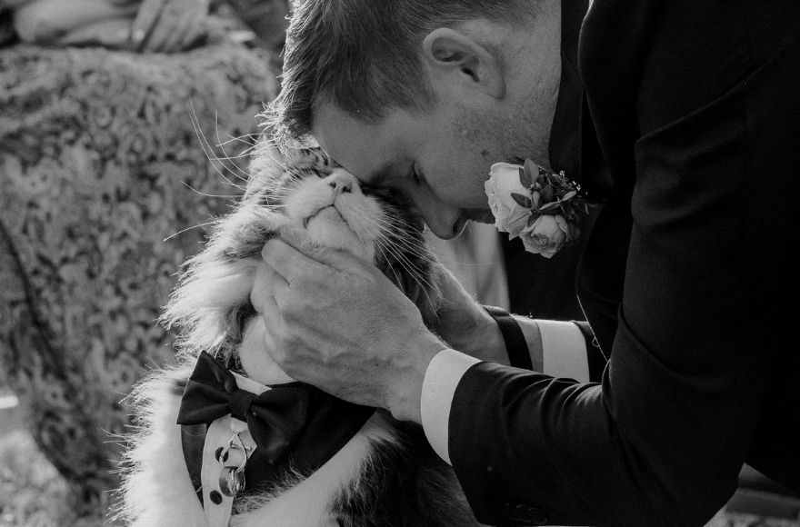 Groom shares a tender moment with his cat, who carries their wedding rings on its collar