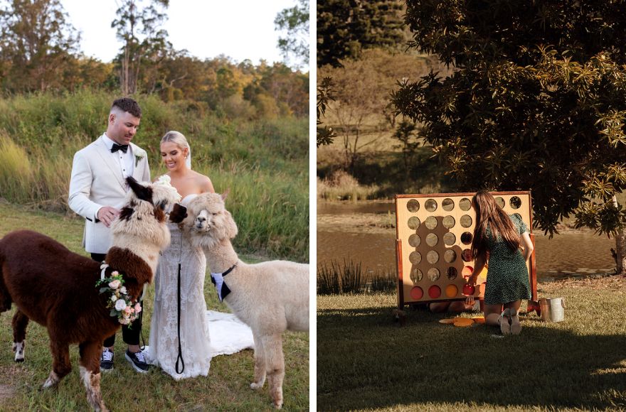 Interactive activities at wedding including patting alpacas and playing lawn games